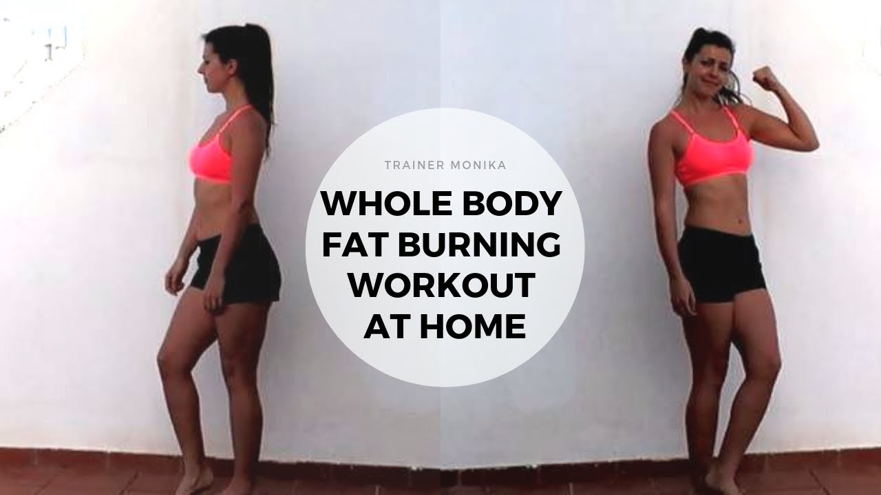 Whole body fat burning workout at home