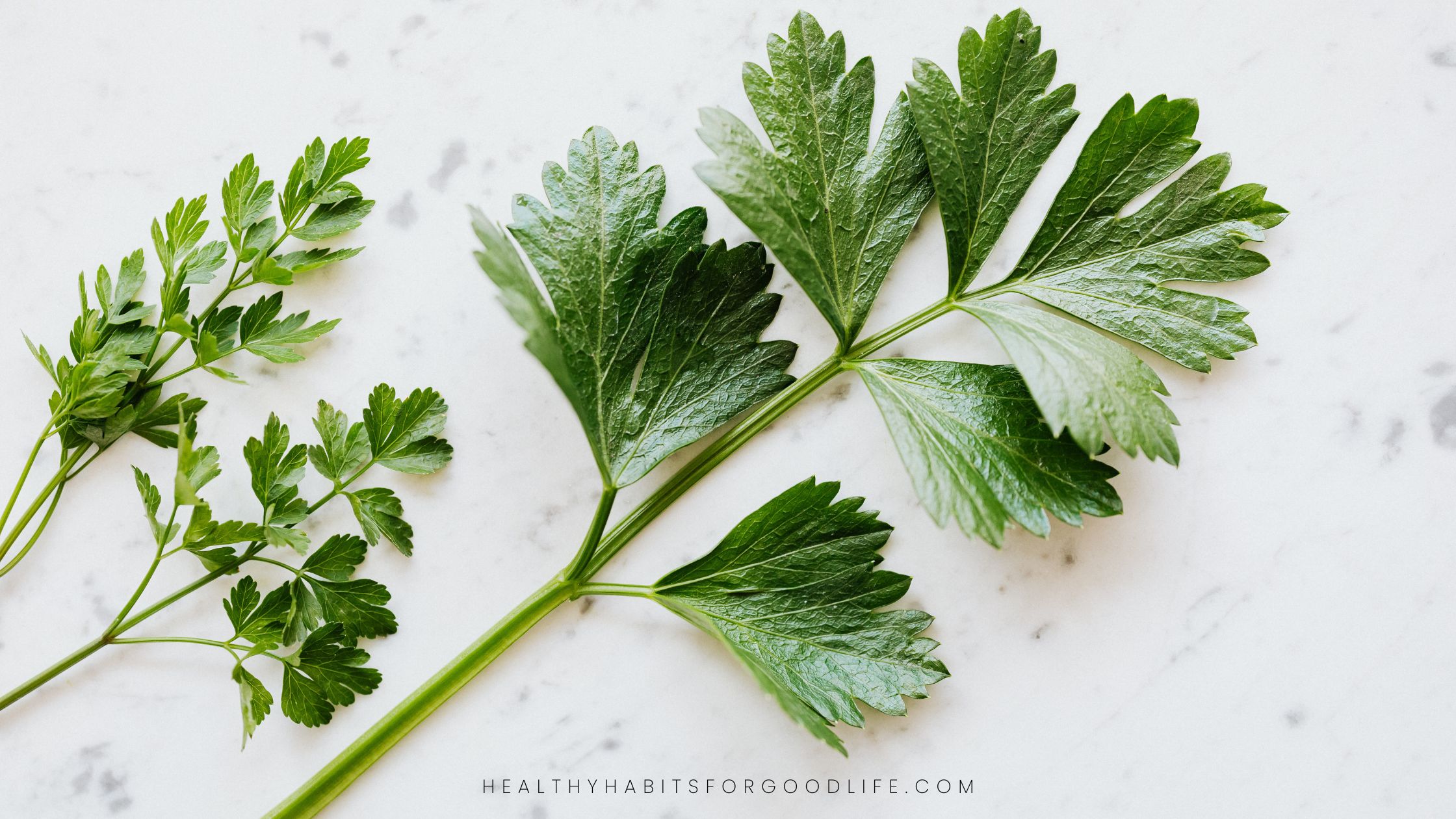 6 best foods to naturally detoxify your body